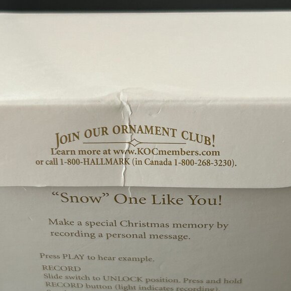 Hallmark Keepsake Polar Bear Christmas Ornament Snow One Like You 2009 Records - Picture 15 of 16